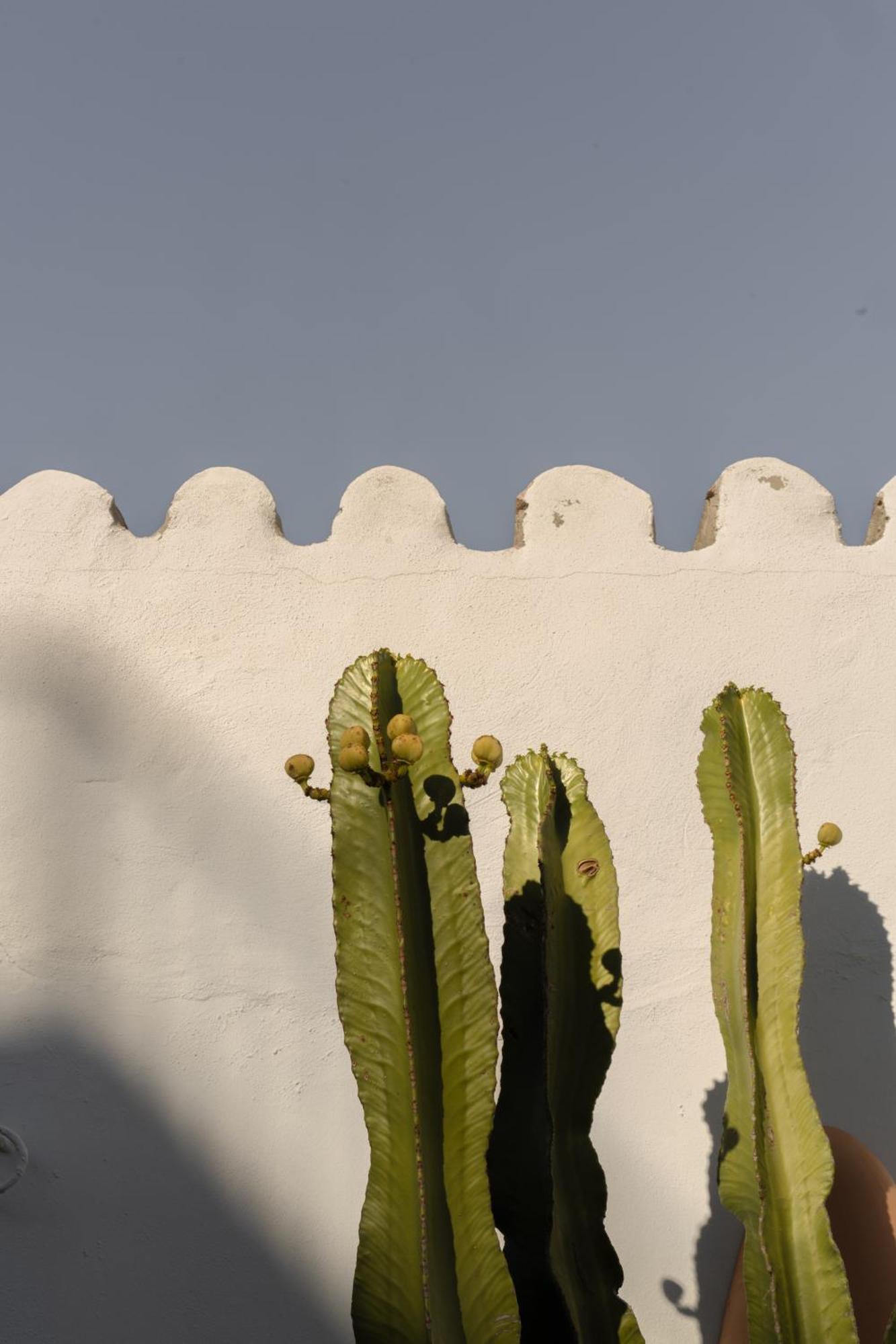 Casa Uva - Boutique Guest House Vejer de la Frontera Extérieur photo